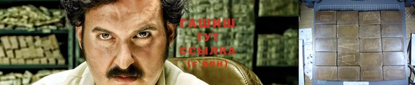 крисы Вязьма