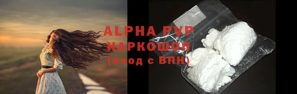 крисы Вязьма