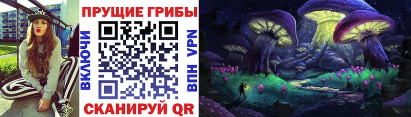 Псилоцибиновые грибы мухоморы Горно-Алтайск