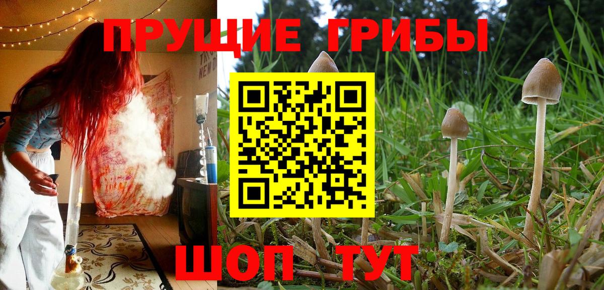 Галлюциногенные грибы мицелий  Горно-Алтайск 