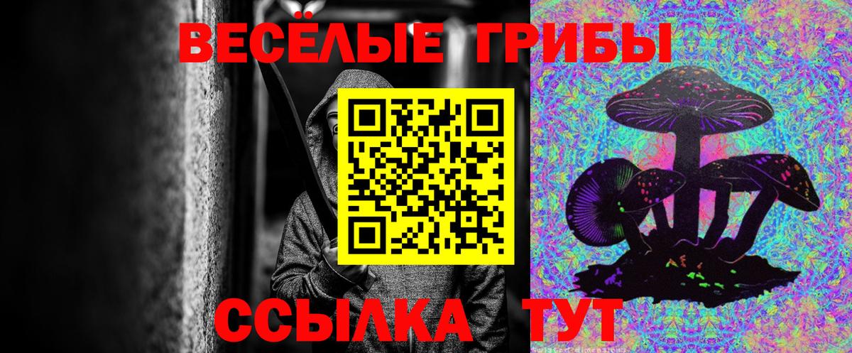 Псилоцибиновые грибы мицелий  Галлюциногенные грибы Magic Shrooms  Горно-Алтайск  Вход с VPN 