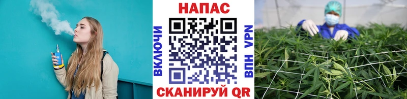 Бошки Шишки сатива  Горно-Алтайск 